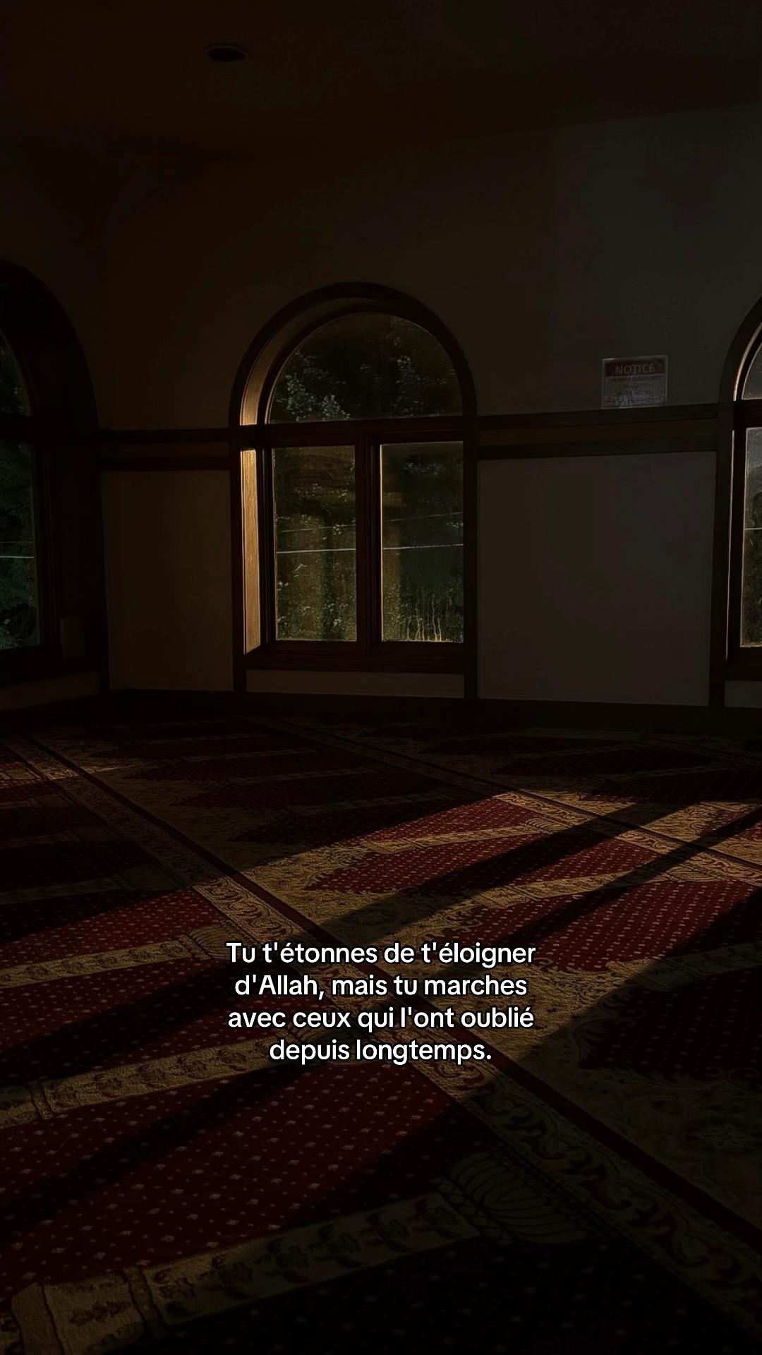 @rappel.islam