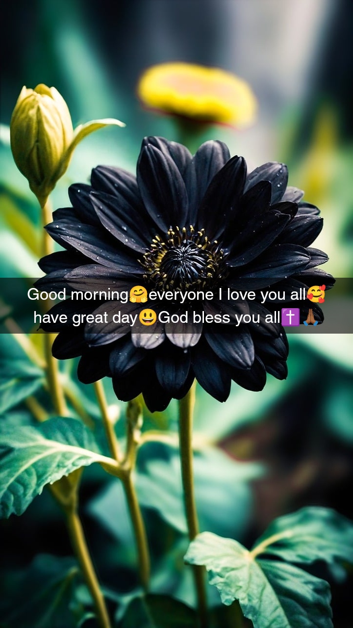 @Talisa.Blackburn🤎Queen girl🤎