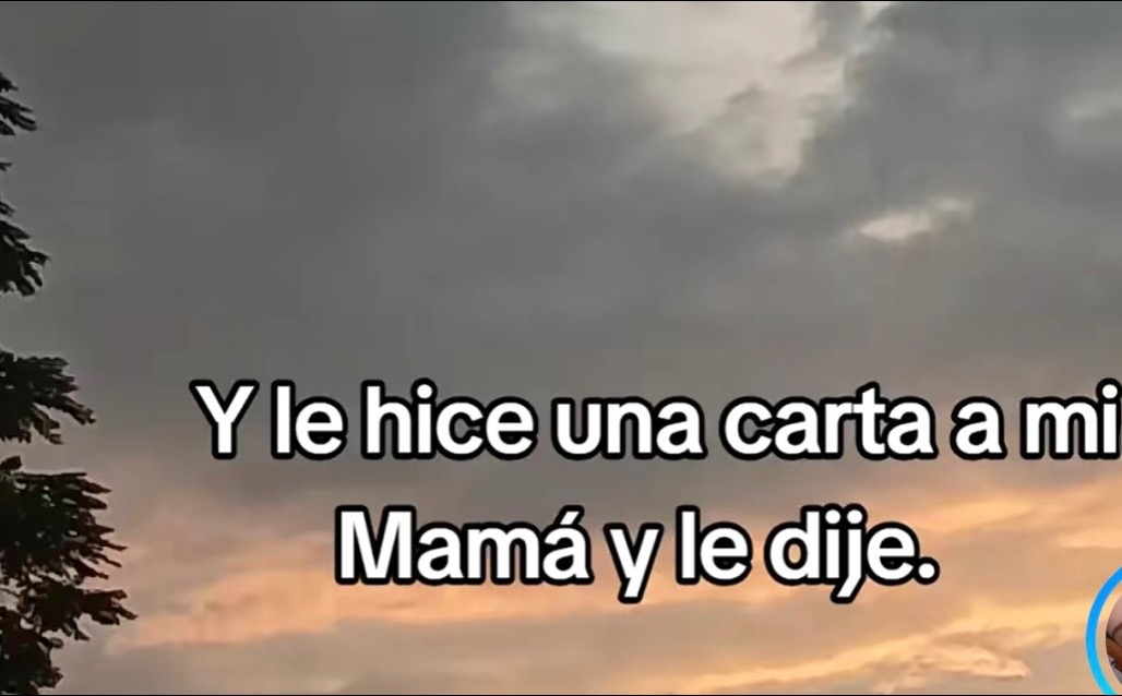 @eliticas13