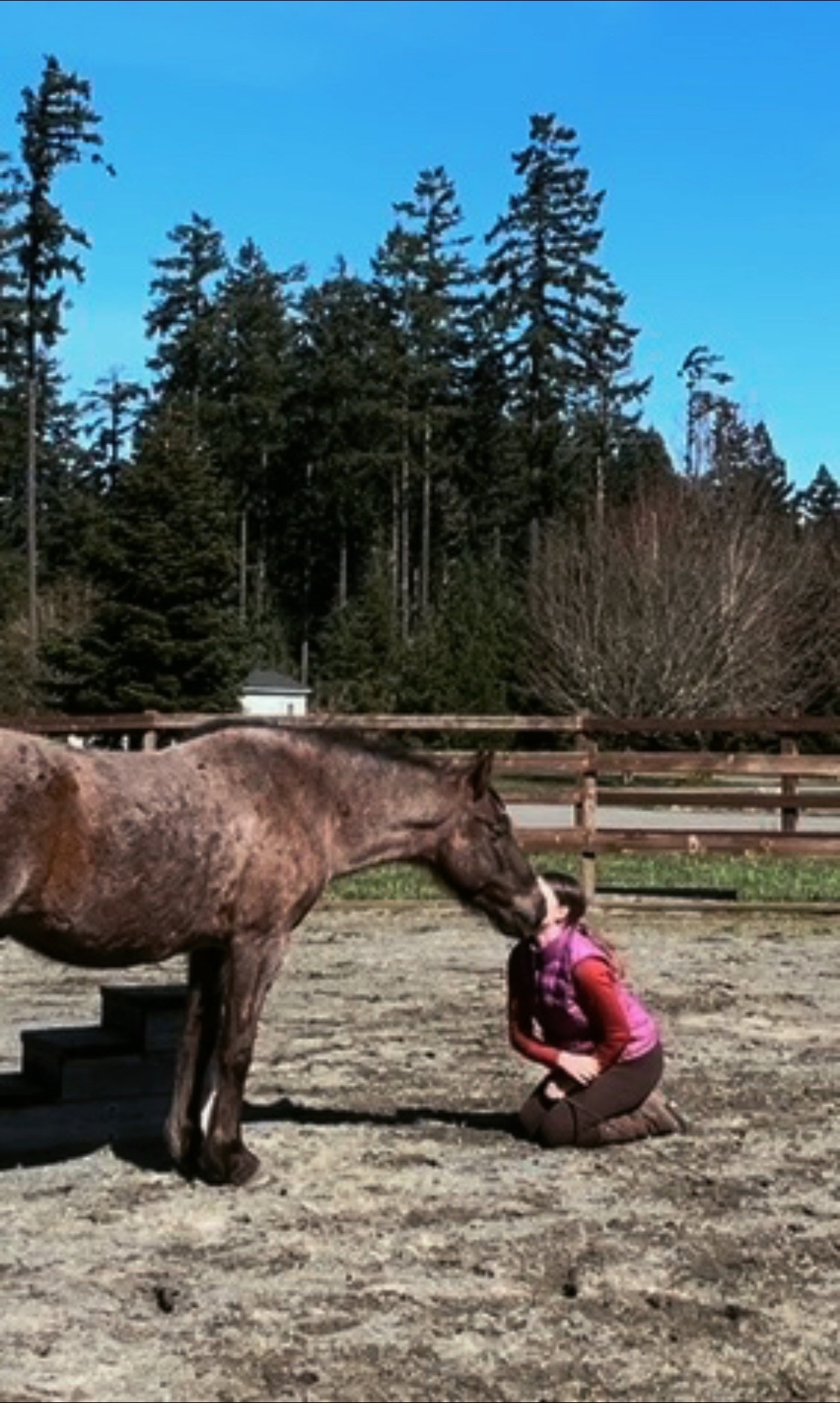 @Viv’s Ponies