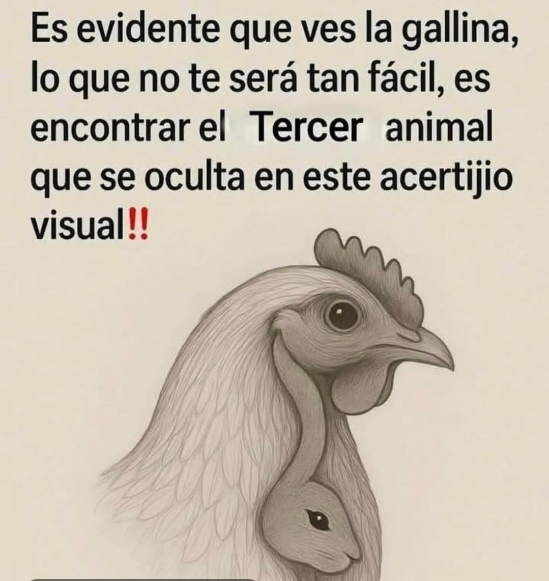 @pitufina 🩵🌹