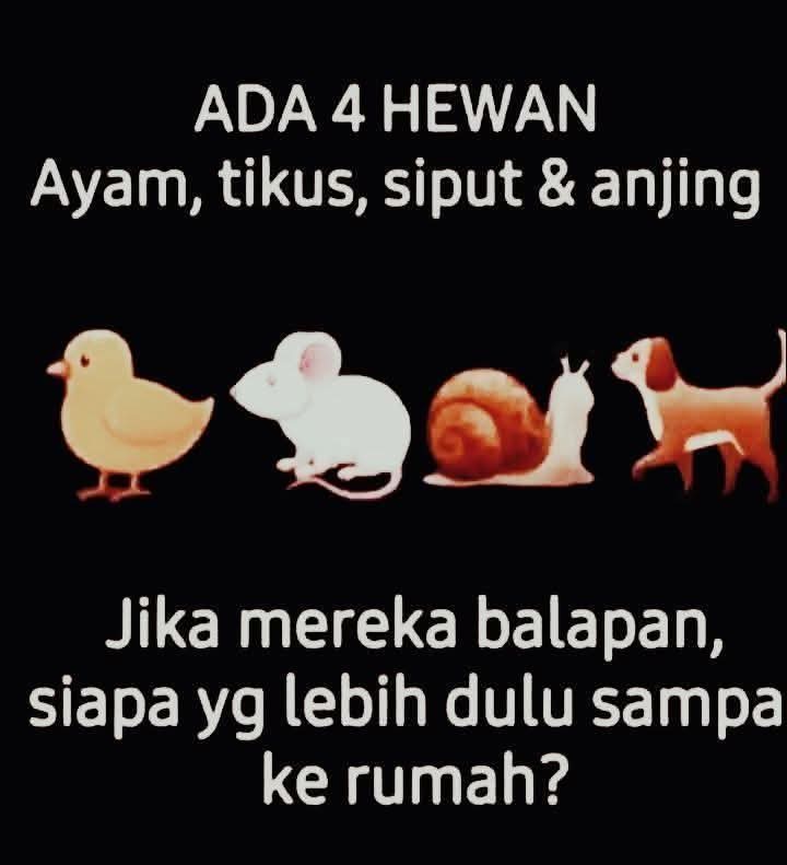 @Penasehat Jalanan
