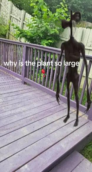 @𝙆Ӡ𝙍𝙐!