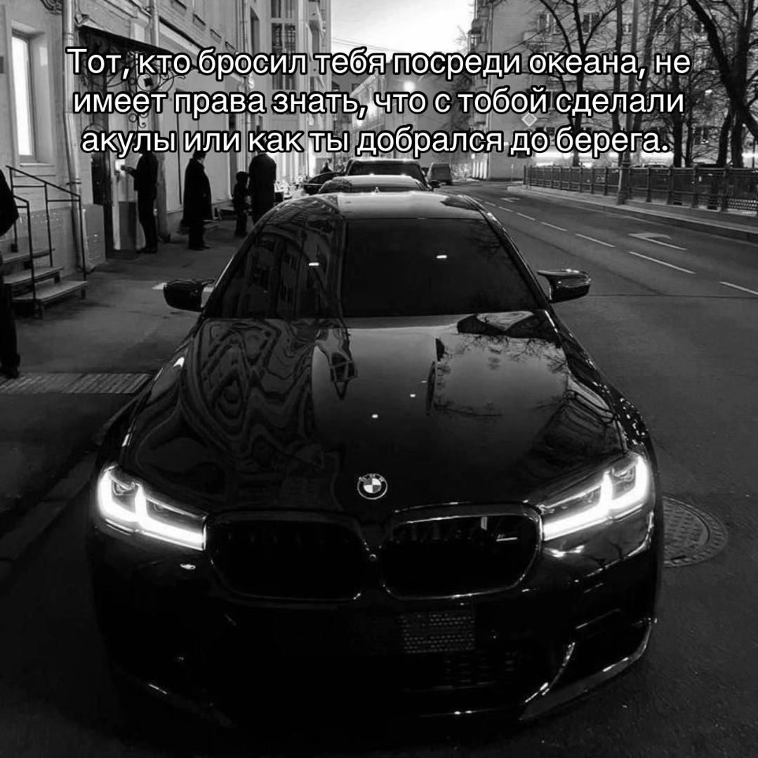@777_koshka_777_