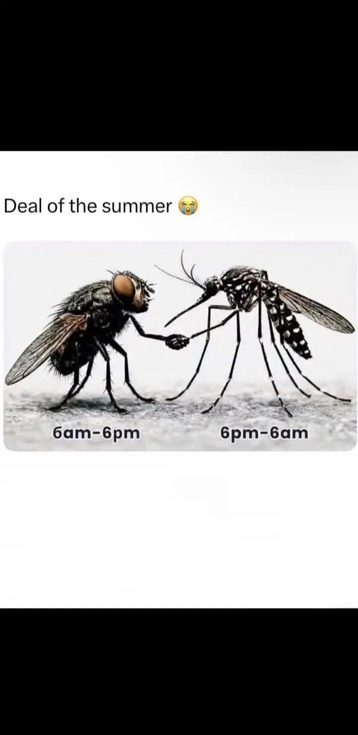 @Fuze🇿🇦