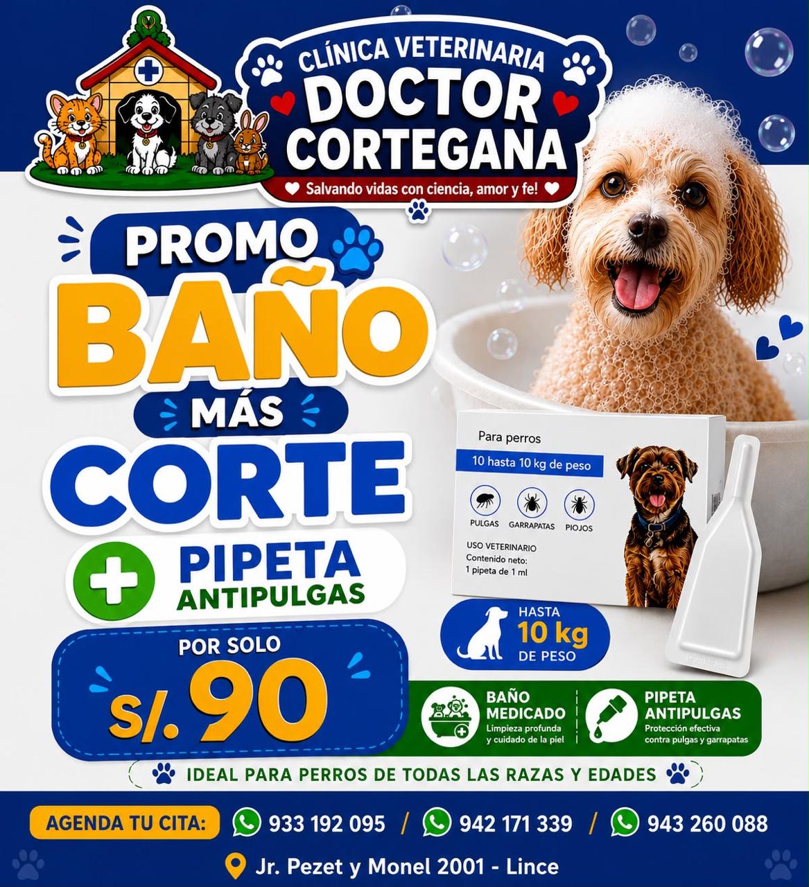 @VETERINARIA DR. CORTEGANA
