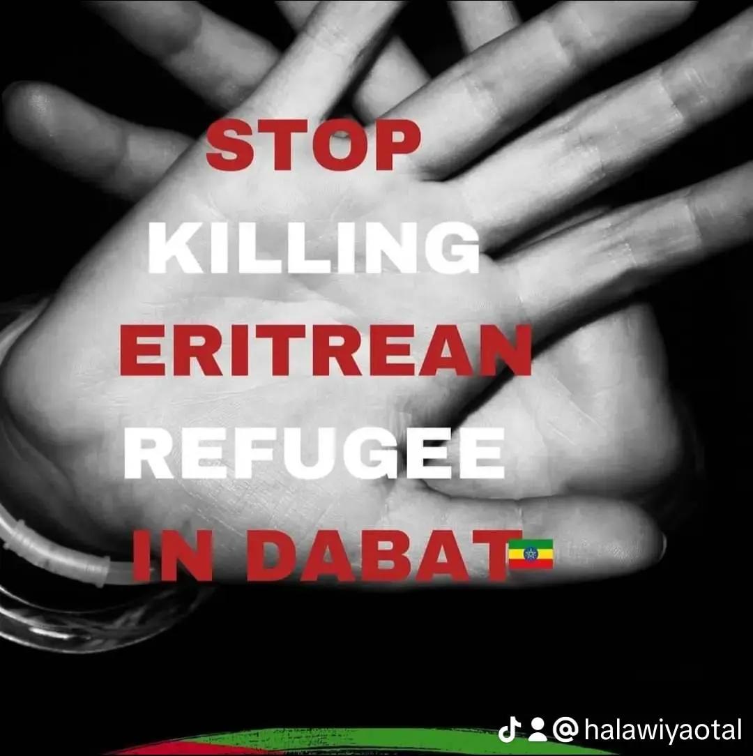 @halawiyaotal
