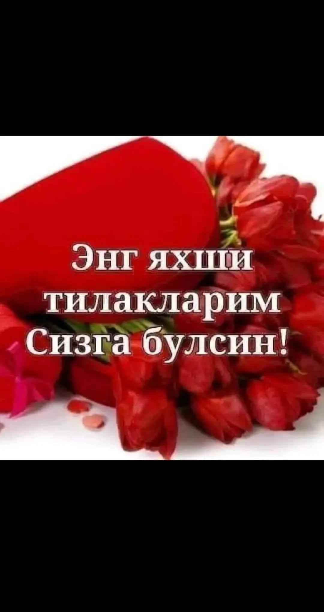 @ЗЕБО 24