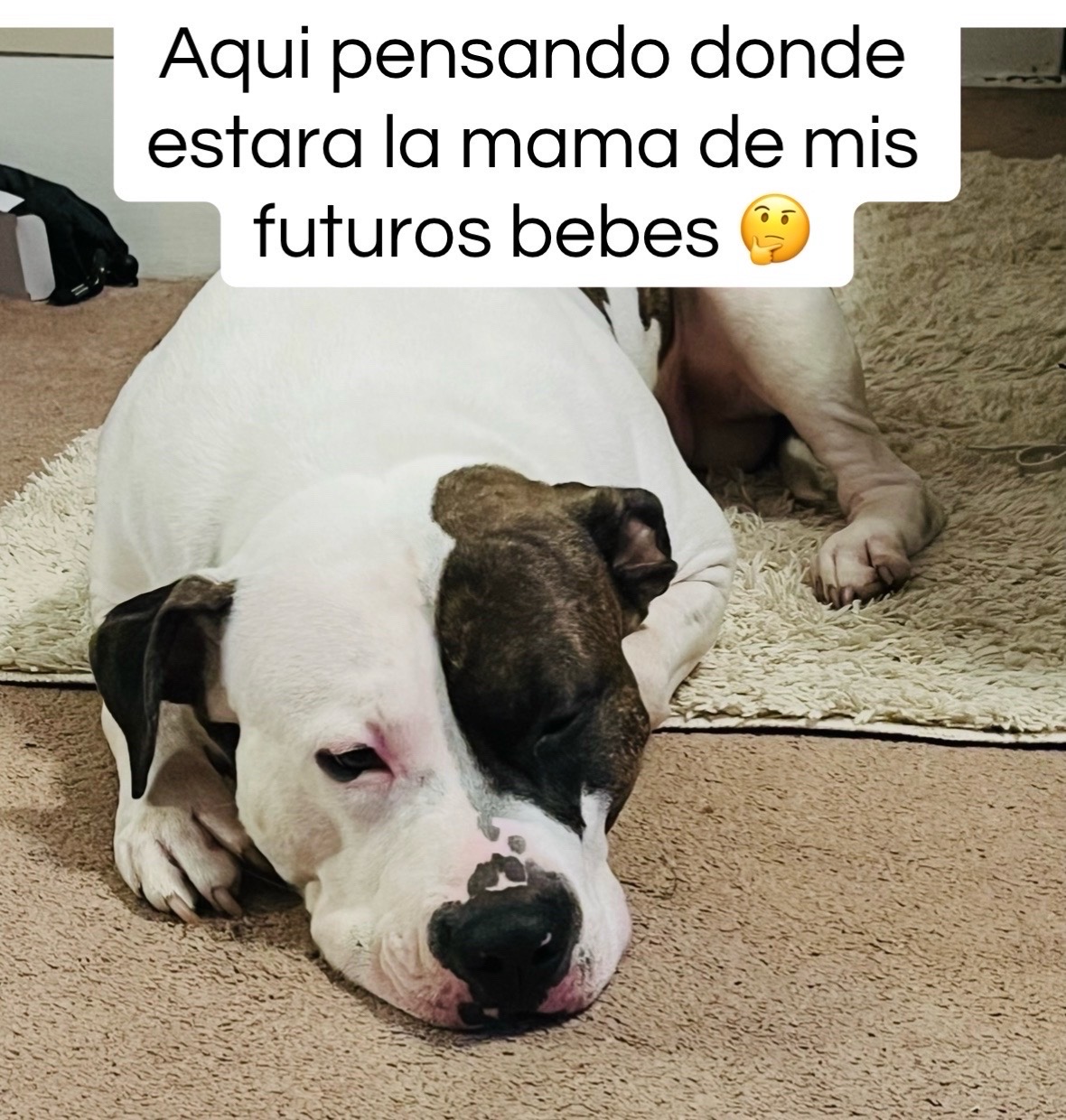 @Taína