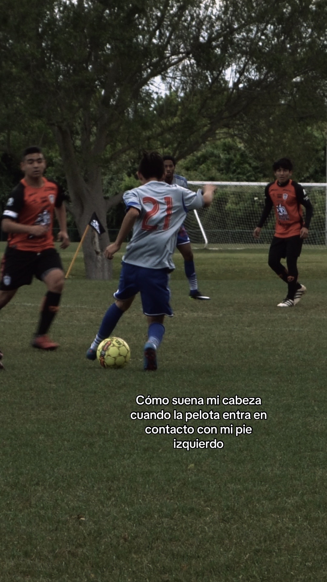 @berna