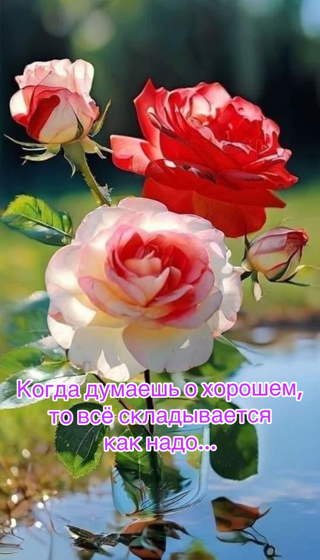 @`*&bull;.&cedil; Alena ˚ 𑁍ࠬܓ