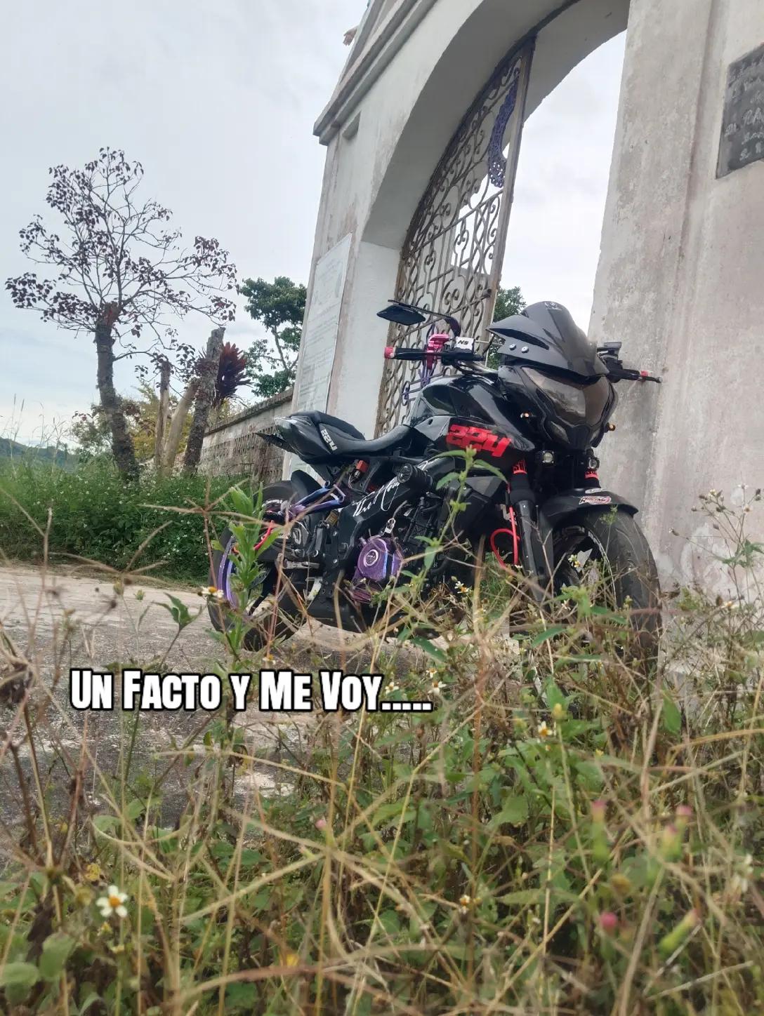 @Alejo224🥷🏽🚀..