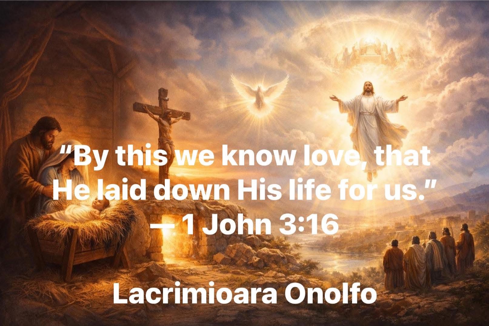 @Lacrimioara Onolfo