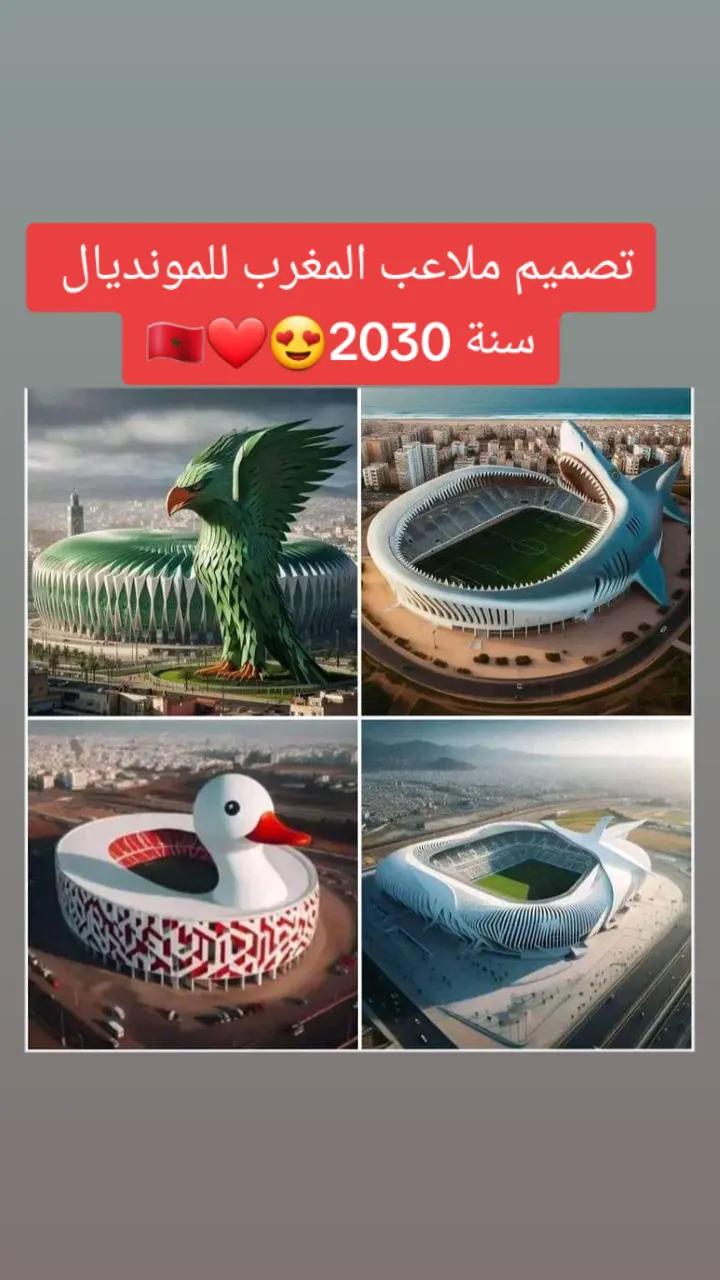 @rabouh.gchira198809@gmail.com