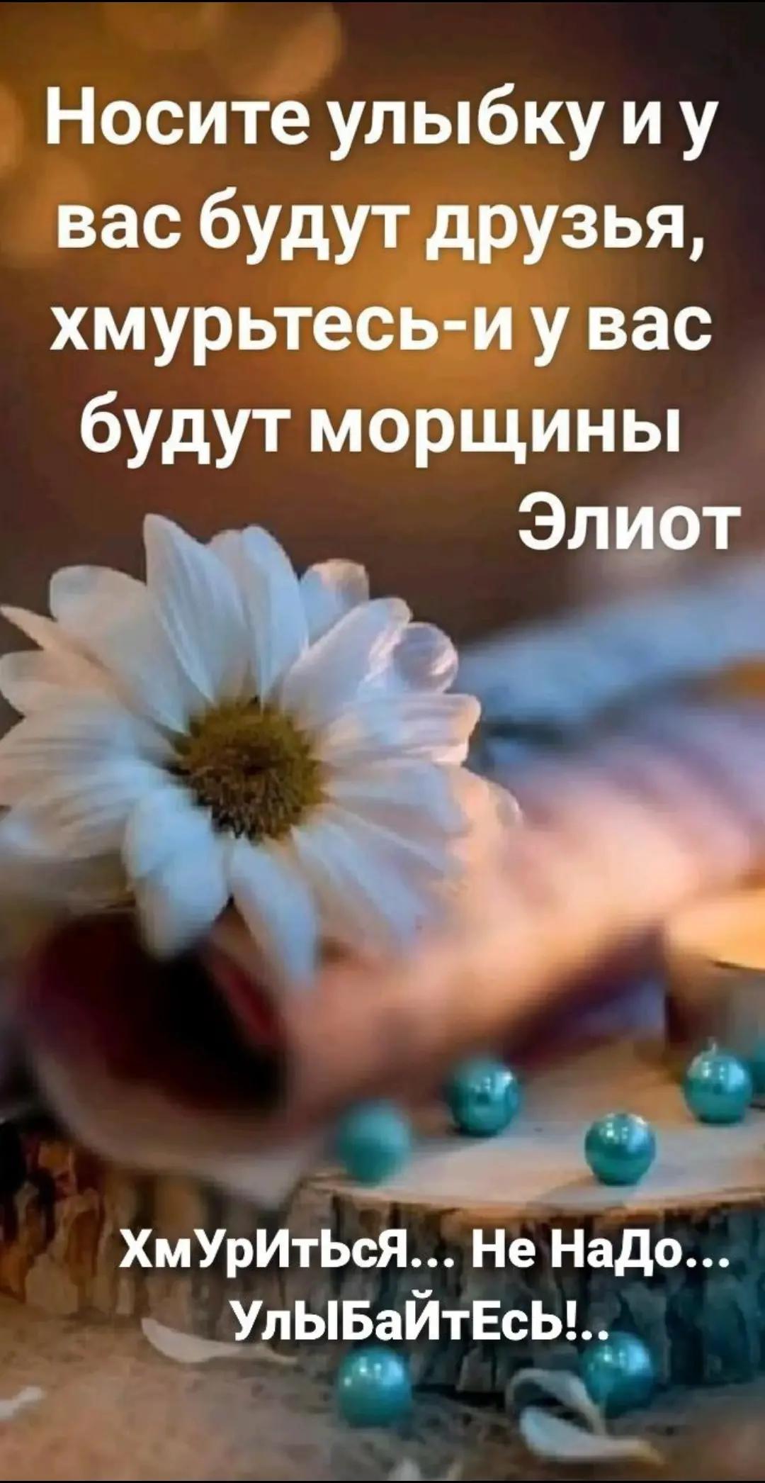 @Ludmila B
