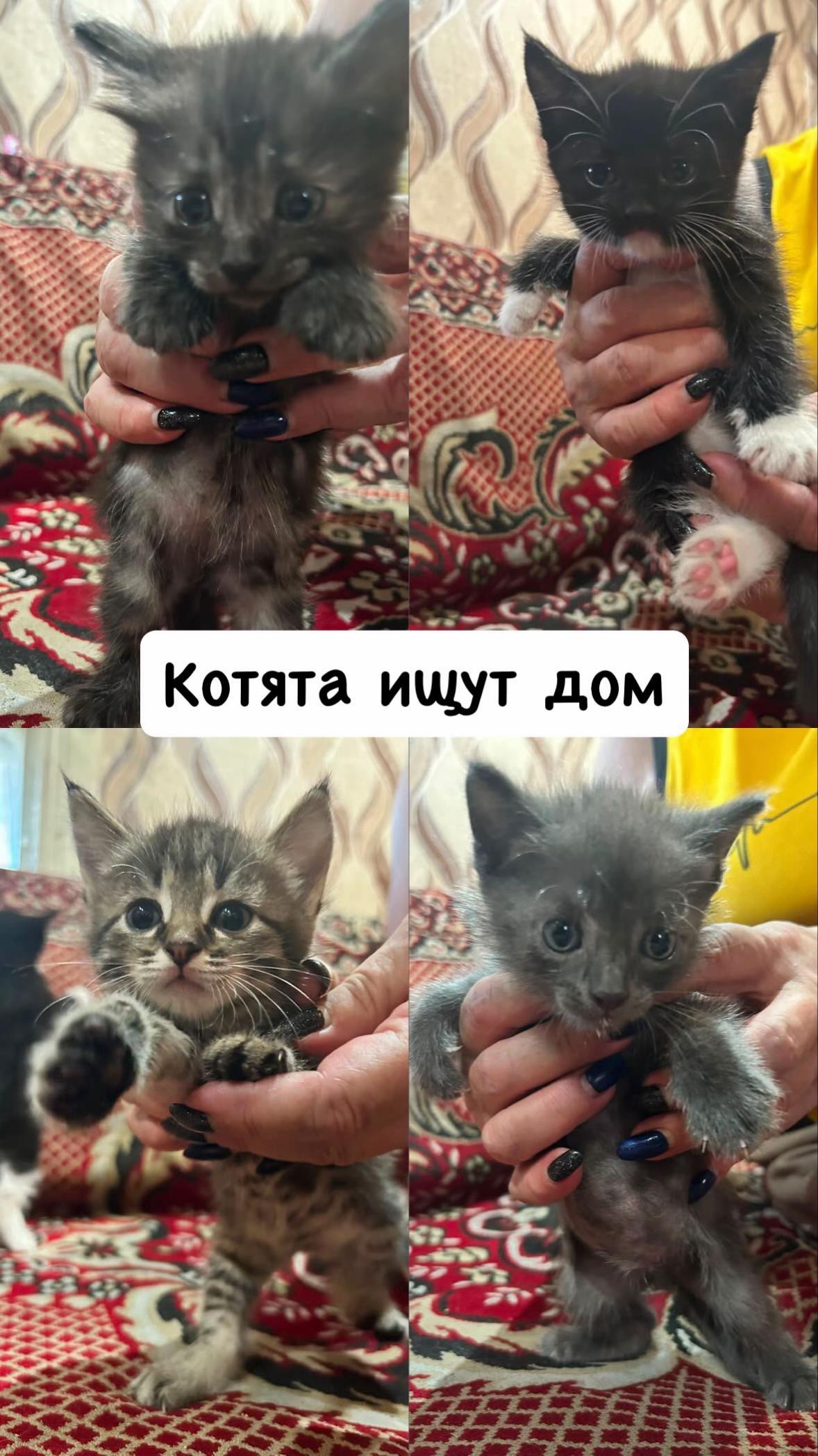 @💜Ариночка💜&мама