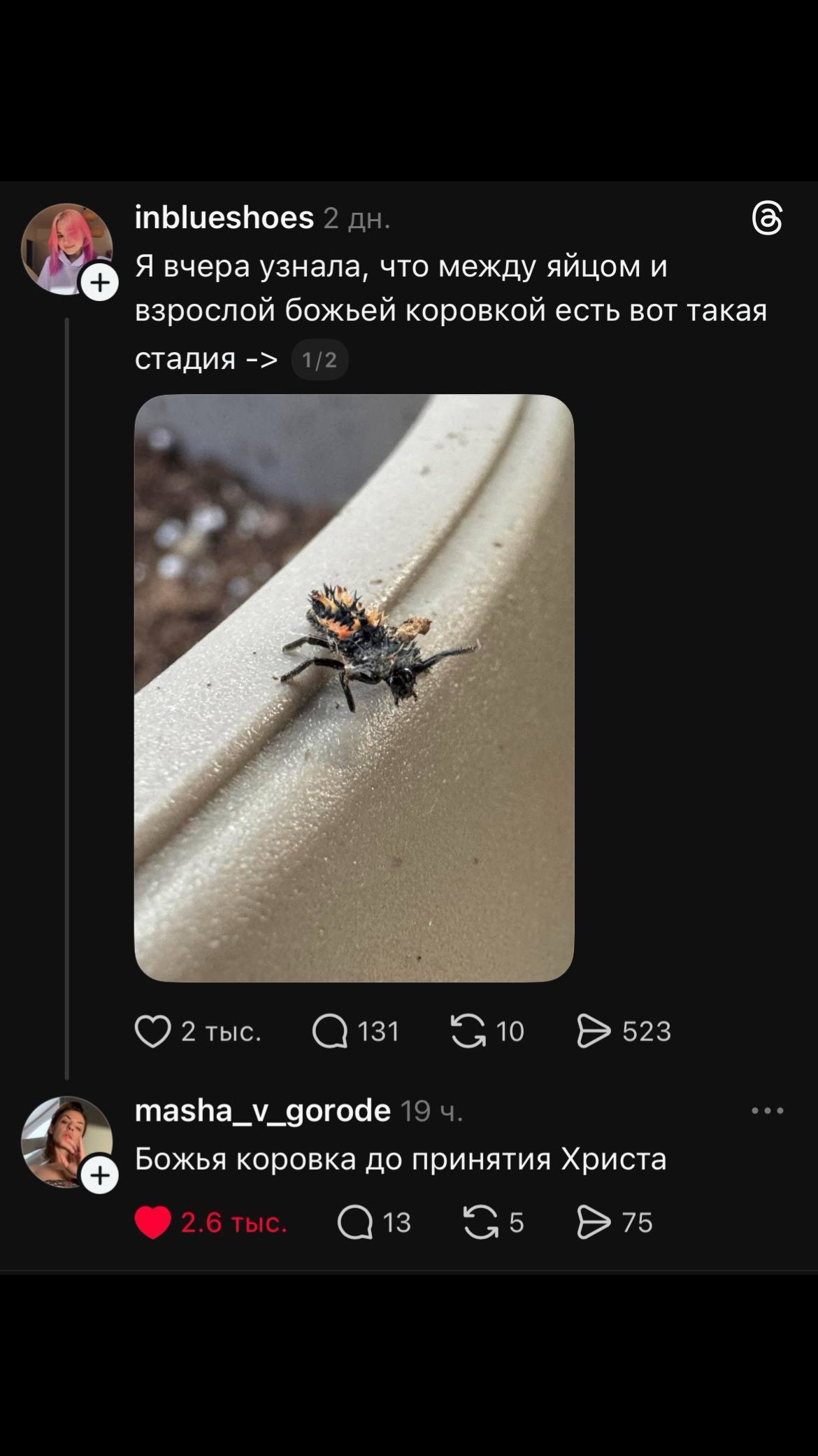 @васька ☦️