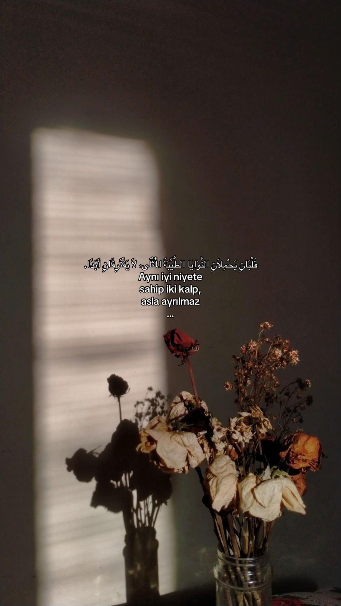 @𝓔𝓵𝓲𝓯