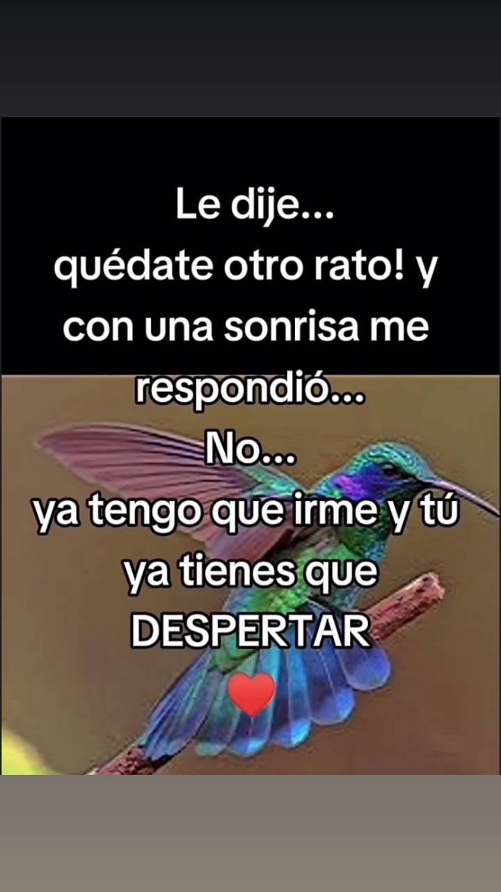 @Lu Jara