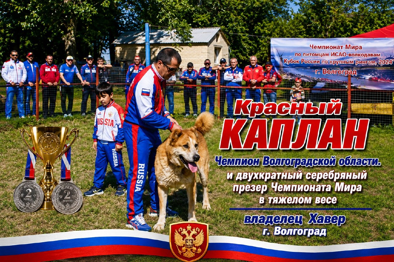 @Собачьи Легенды