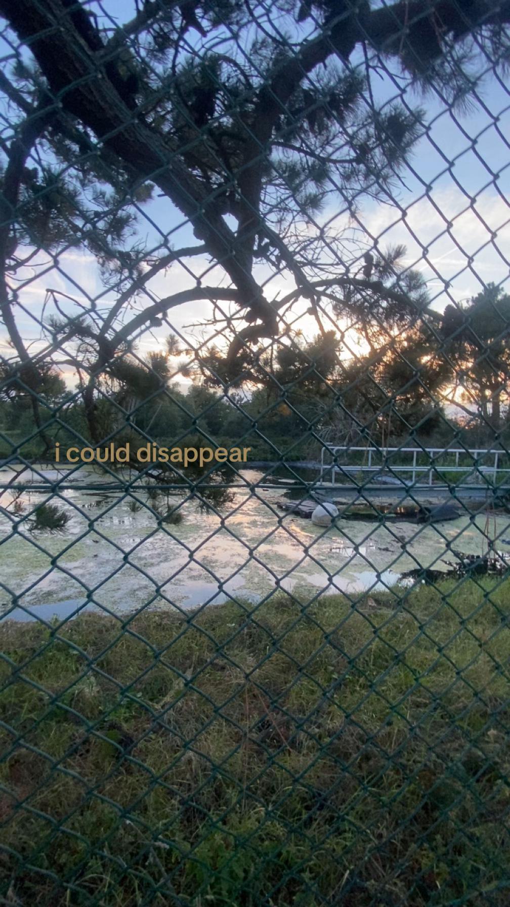 @ˢᵉᶜʳᵉᵗ