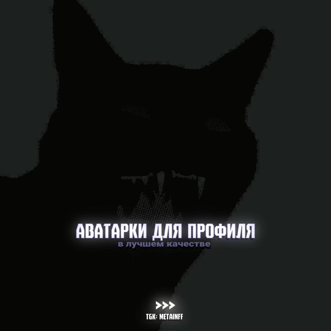 @тгк: @metainff