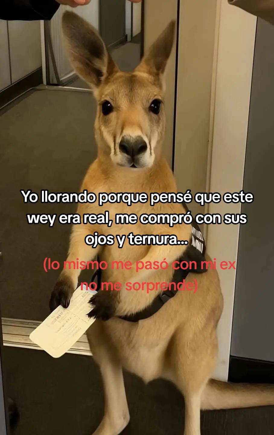 @Luu