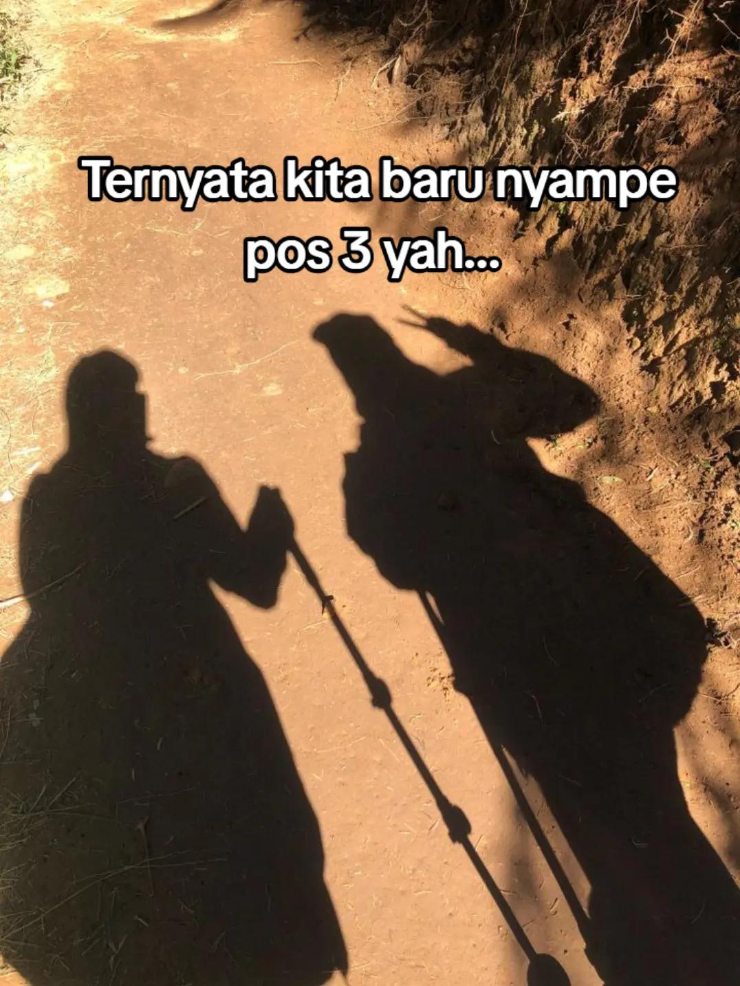 @azamyra_elff