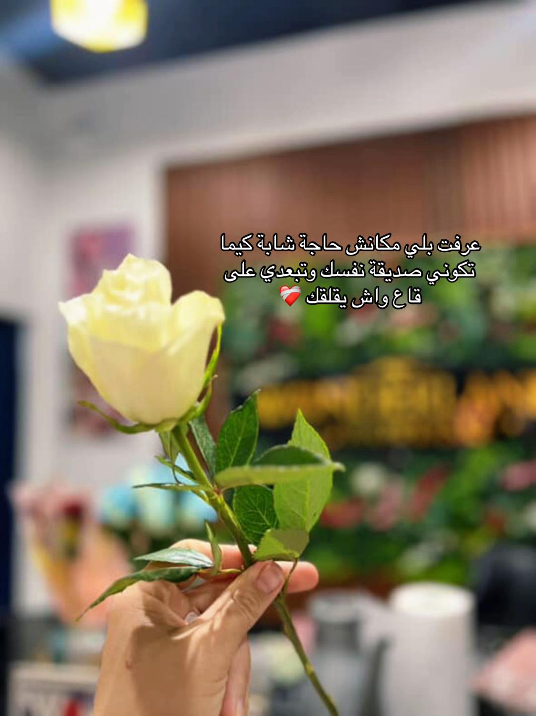 @🕊️