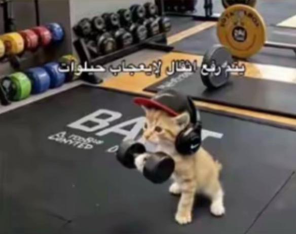 @_ianyr