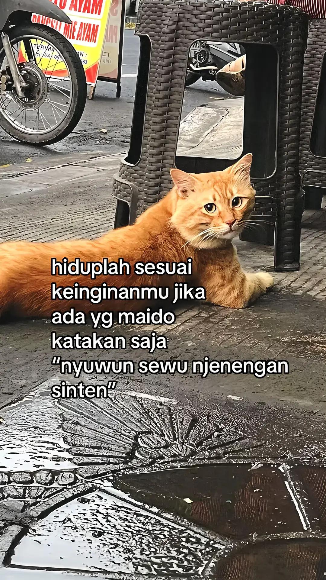 @@unyil🍃