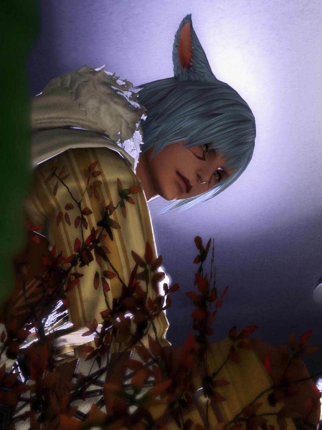 @Rei Starling