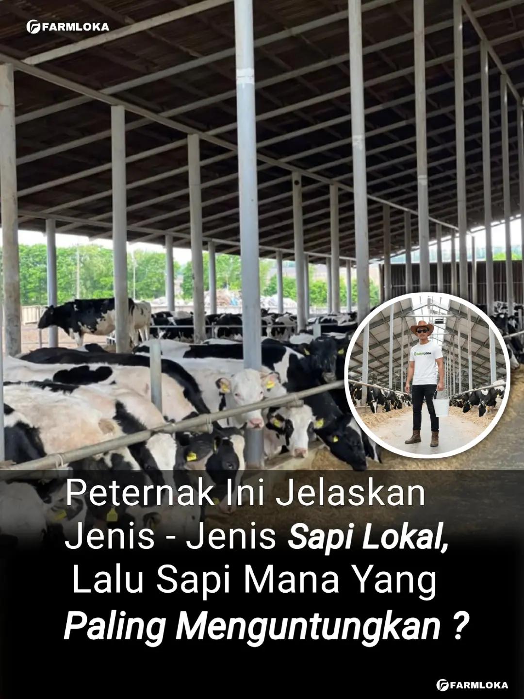 @Farmloka