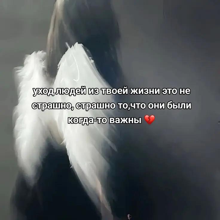 @т/ишка-шишка