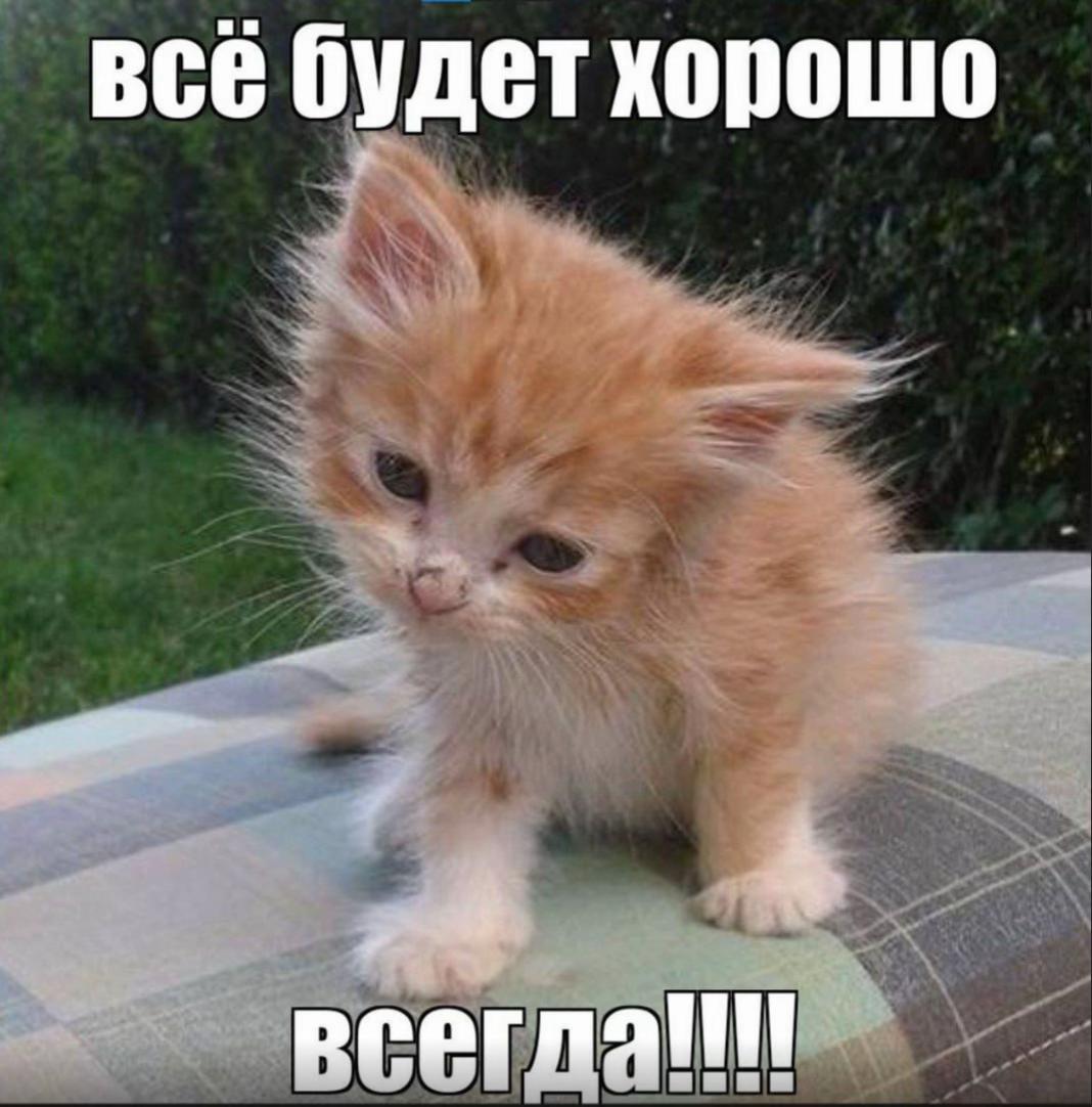 @qrtq&