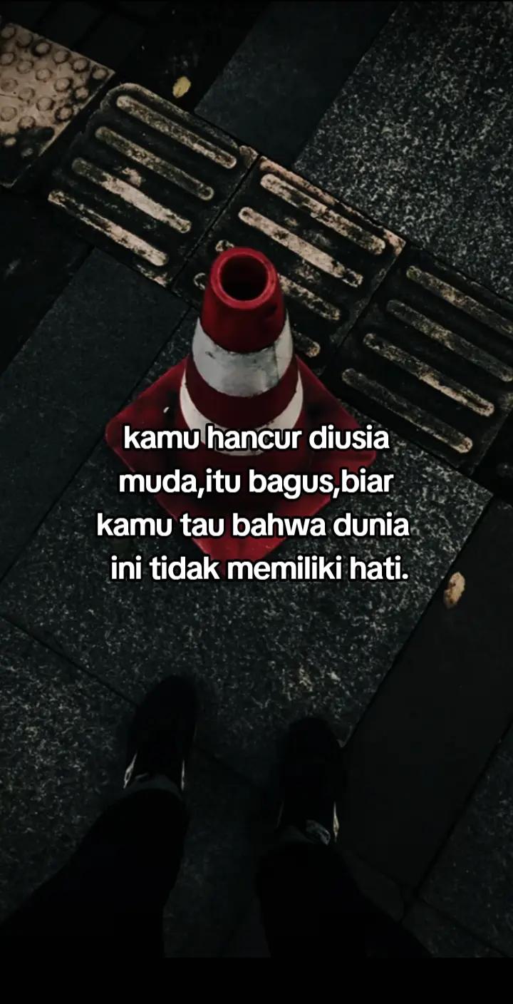 @323⚡
