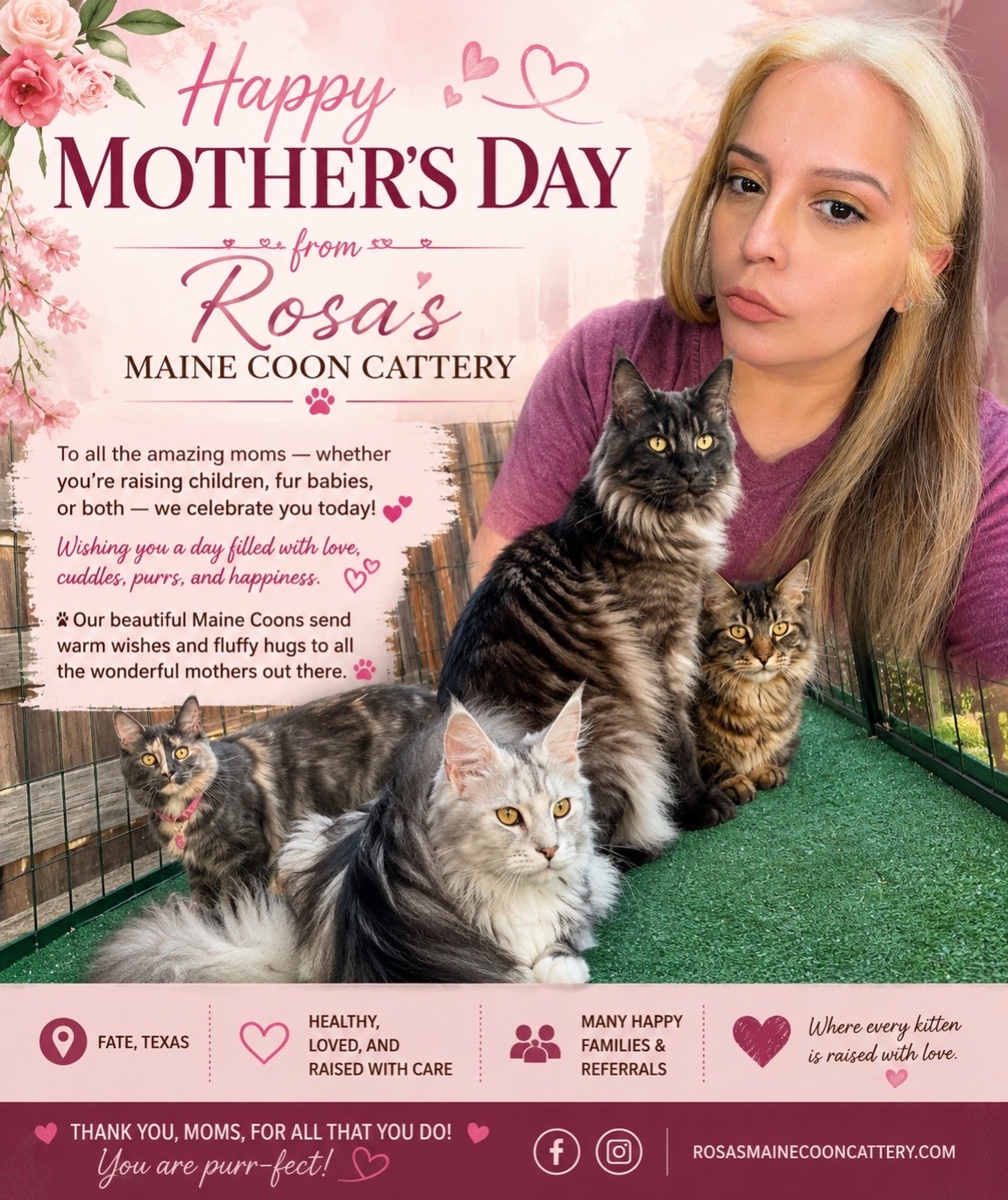 @Rosa’s maine coon in Texas🧛
