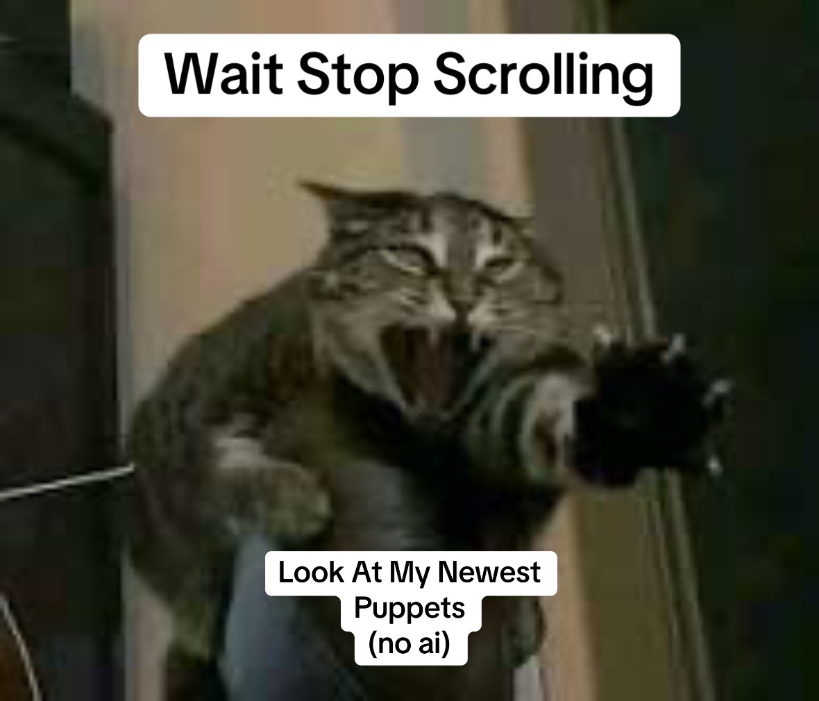 @CryptidsInYourCloset