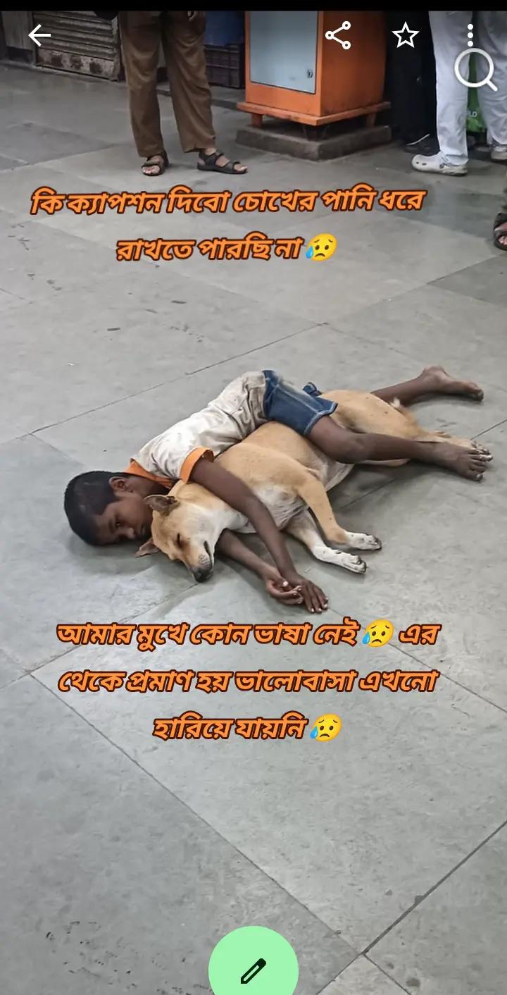 @đ āϏāĻŋāĻāĻĻāĻžāϰ āĻŦāĻžāĻĄāĻŧāĻŋāϰ āϰāĻžāĻāĻāύā§āϝāĻž đ