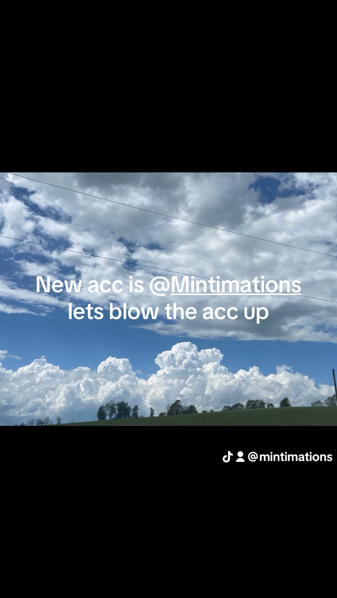 @MintyRL