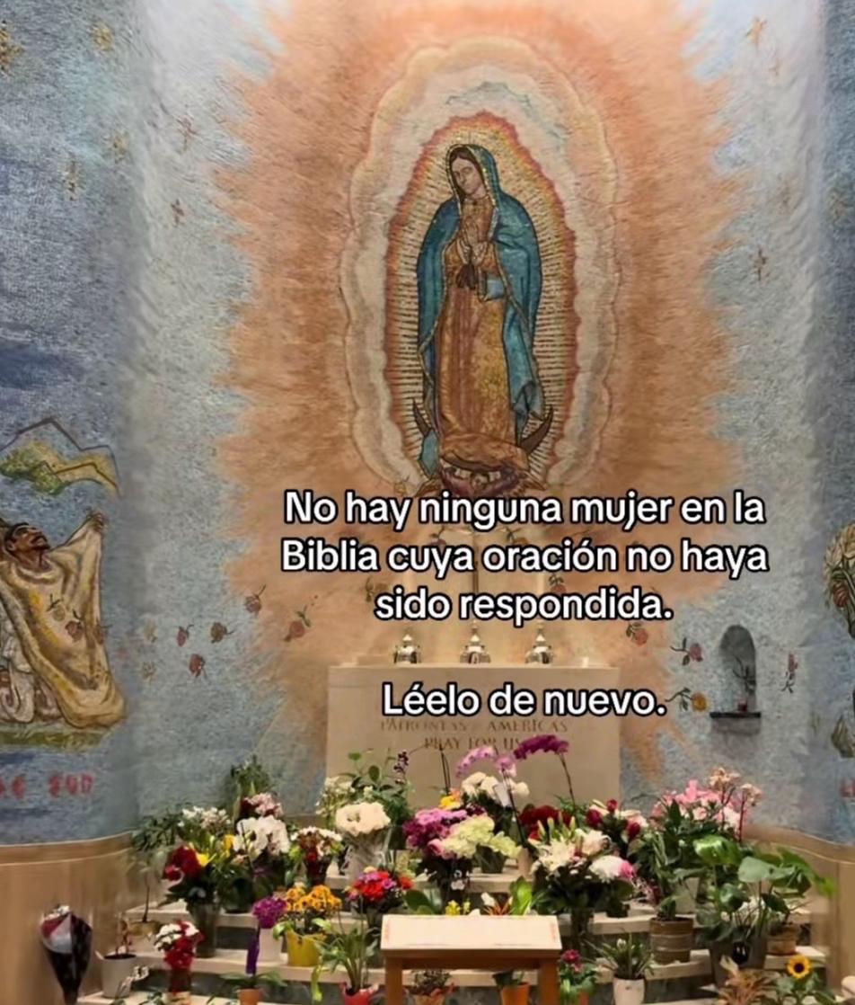 @La patrona24💍❤️🤵🏻&zwj;♂️👰🏻&zwj;♀️
