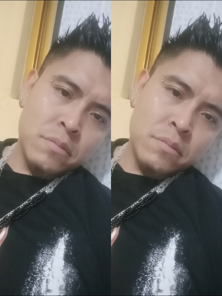 @cachorro