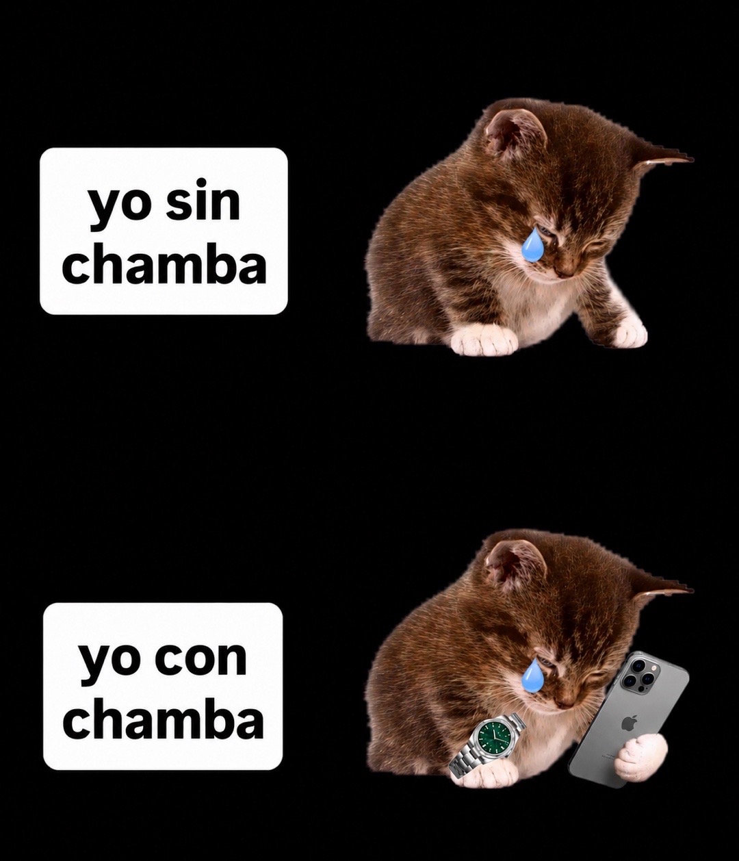 @houseismyparadise