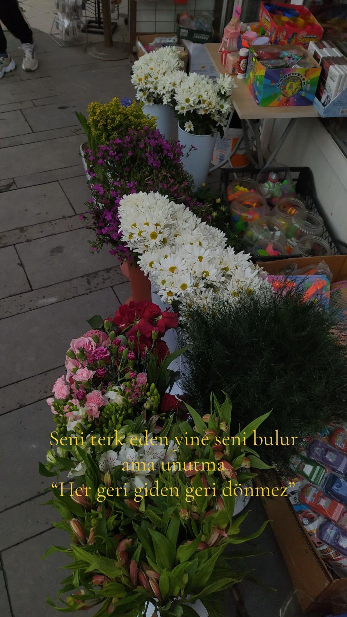 @Reportsluuukkk
