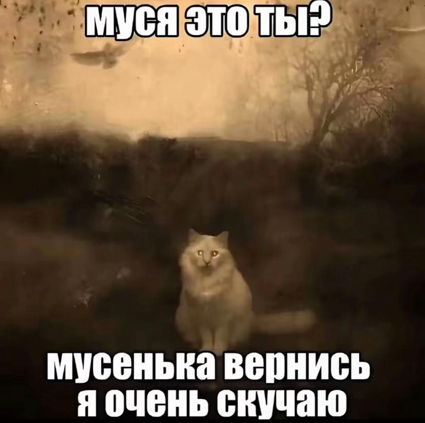 @mamasek✌️