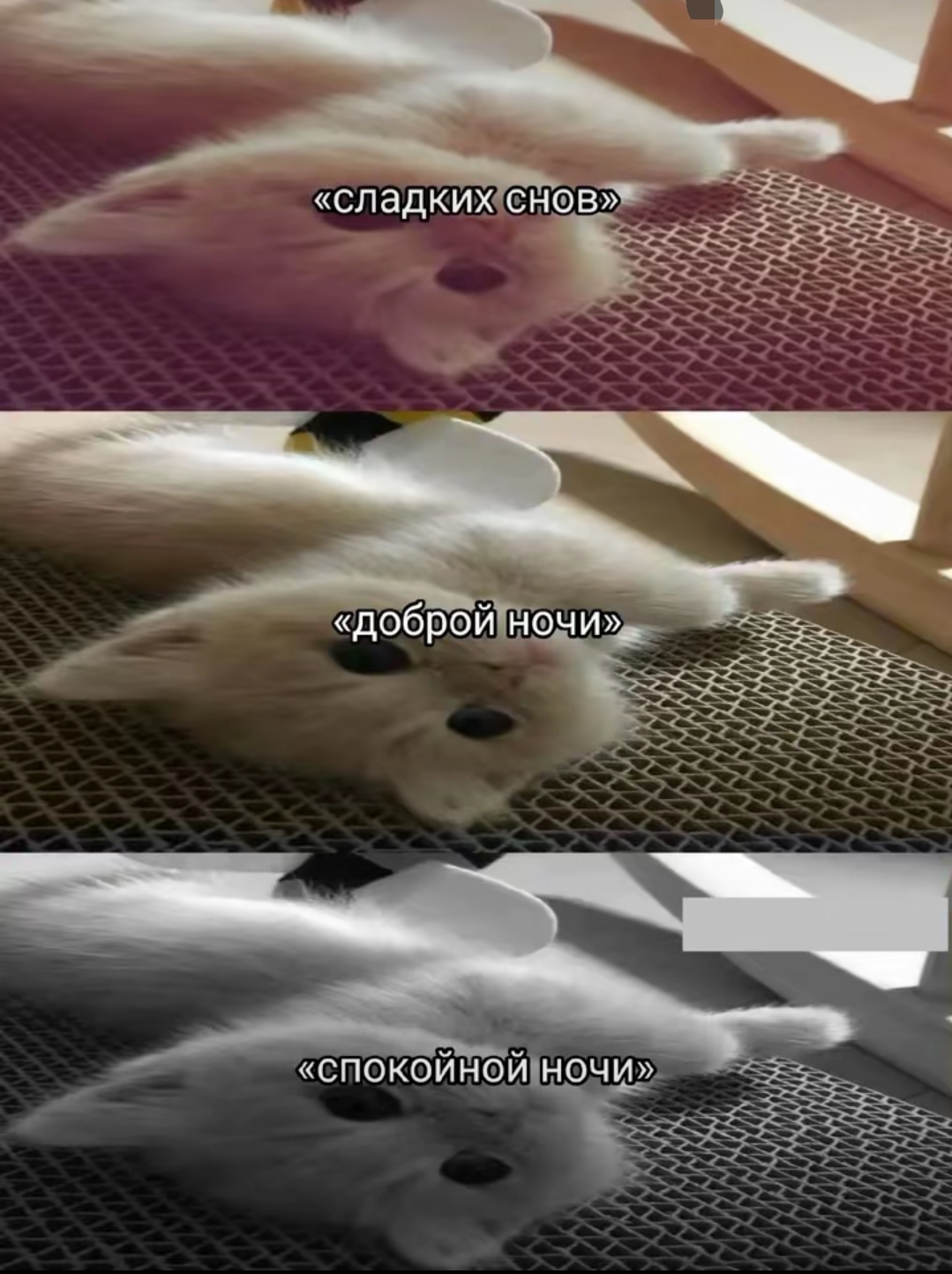 @викос🤍