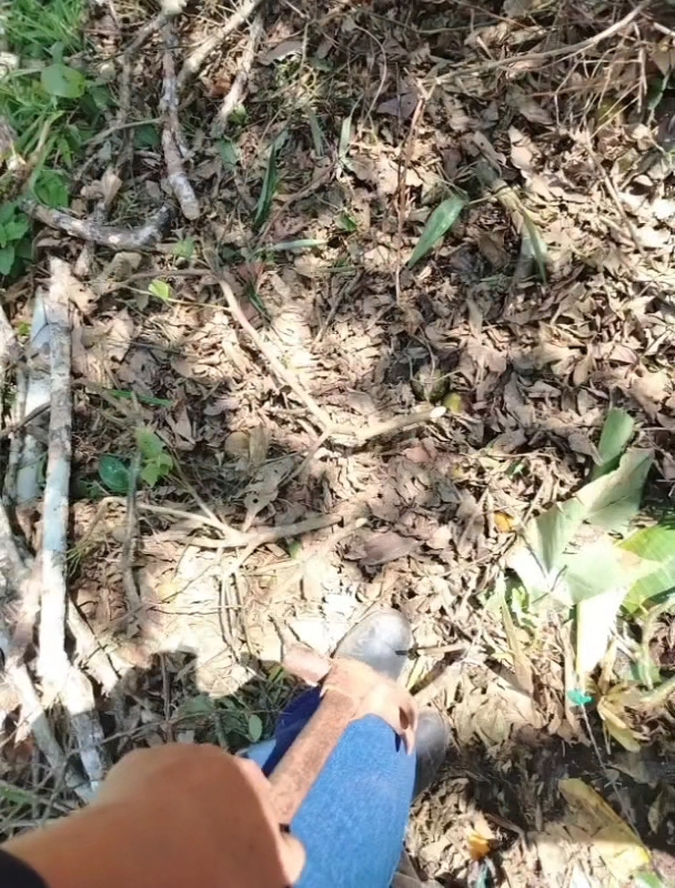@Yajayra🫶❤️