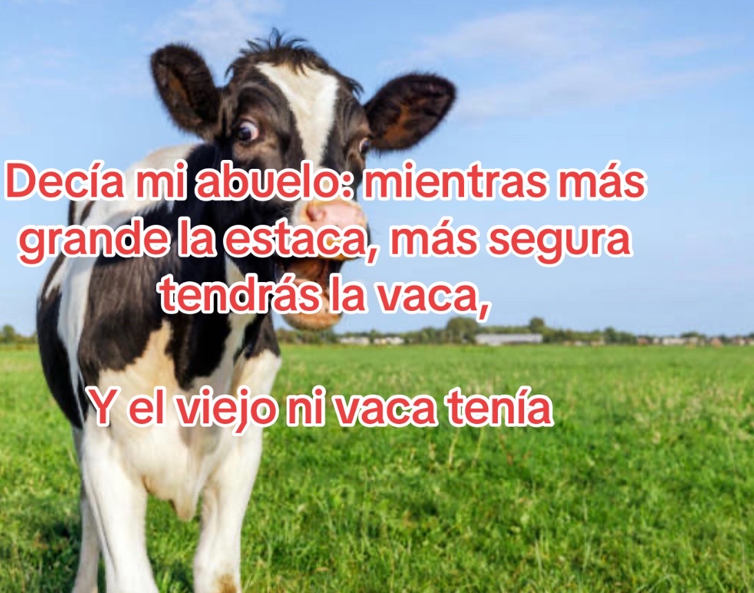 @danna16830