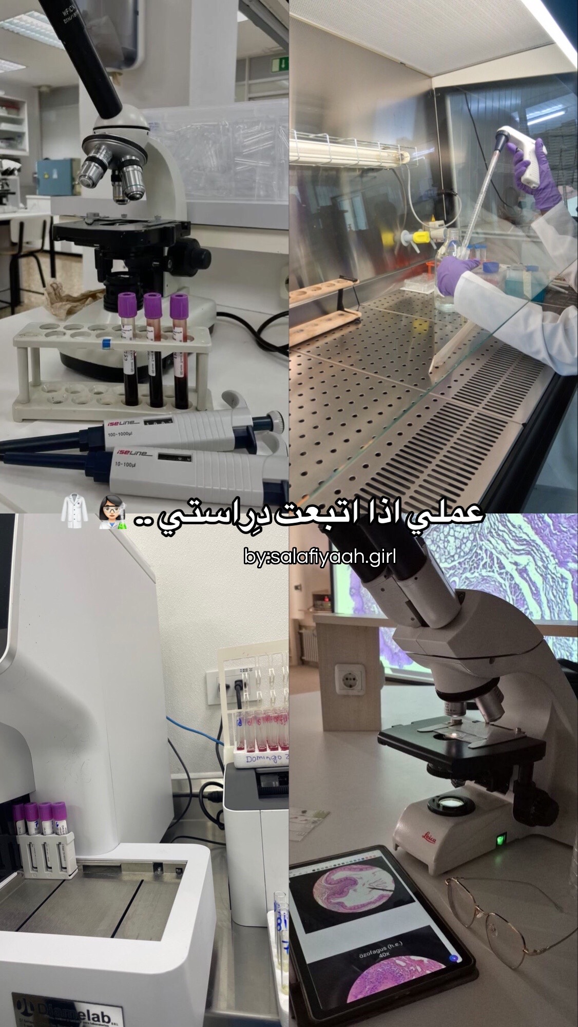 @أُم عَـائِـشَـة 𐙚_١٤٢١