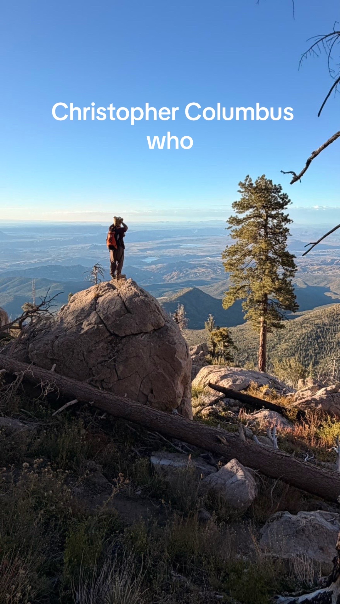 @Yolo